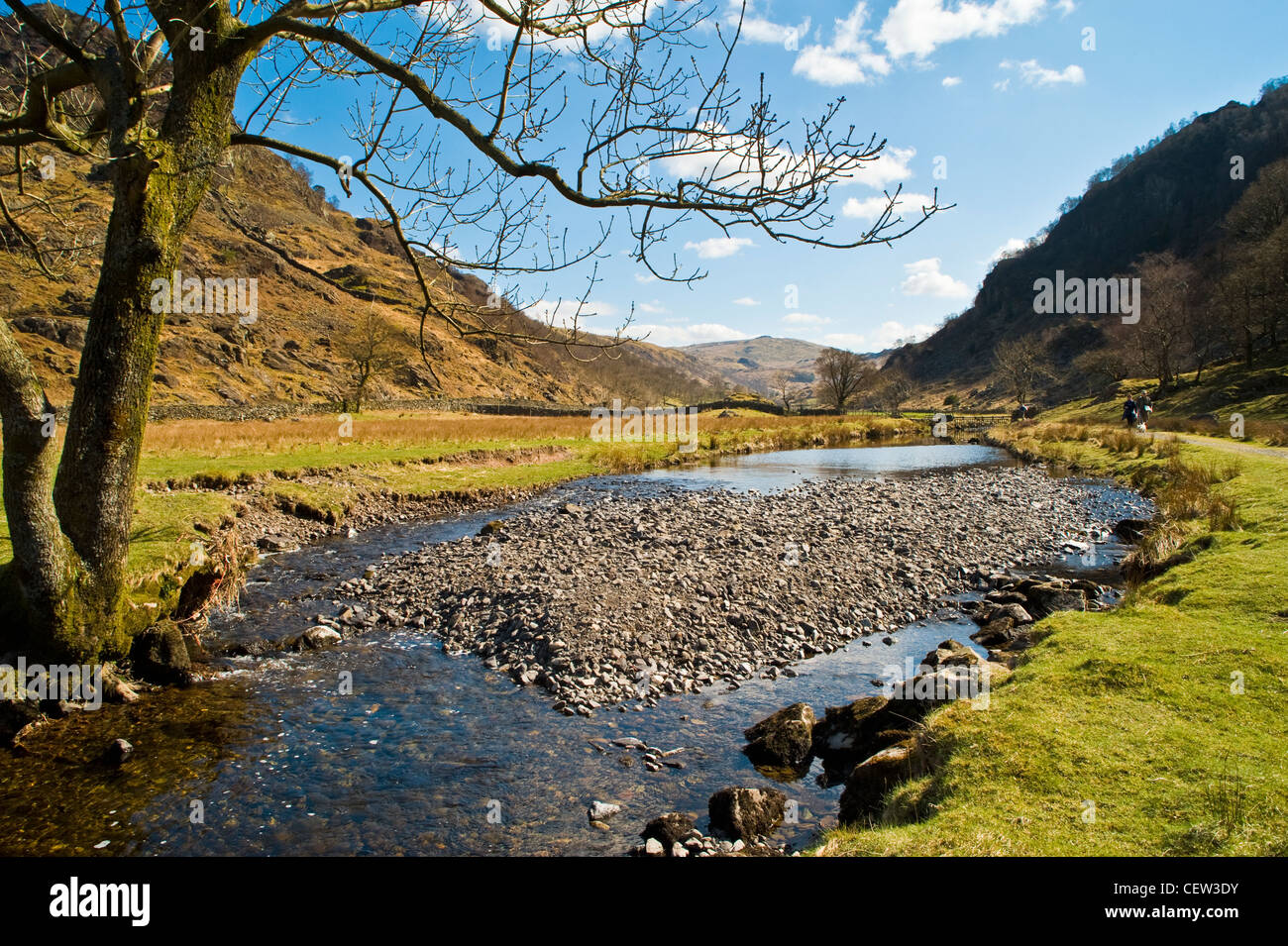 Watendlath Beck In Watendlath Valley Above Borrowdale In The English Watendlath Beck In Watendlath Valley Above Borrowdale In The English