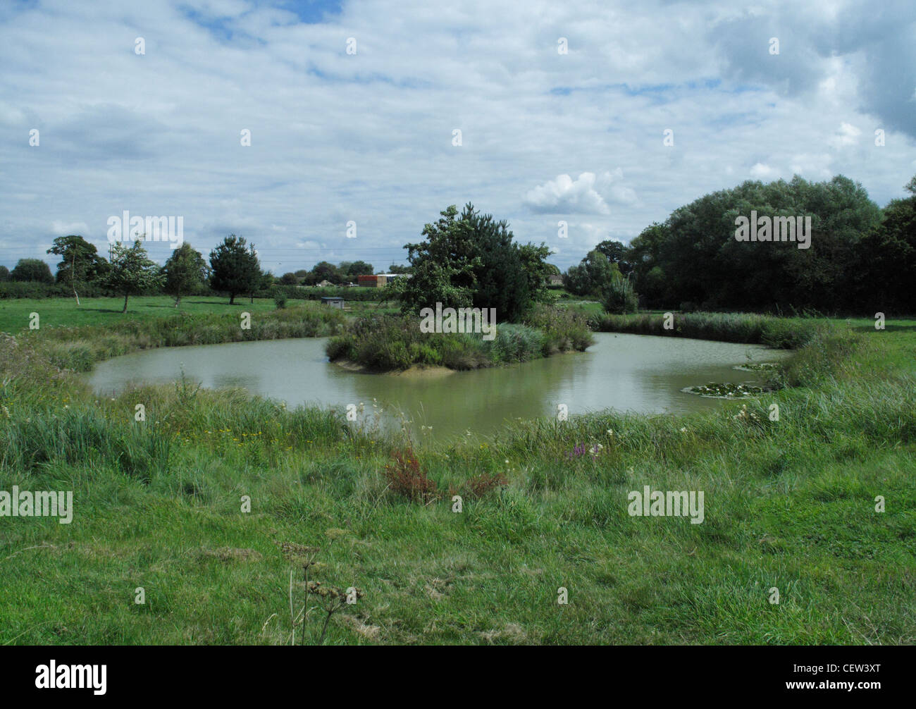 man-made pond with island on a farm near Broughton Gifford Wiltshire England UK Stock Photo