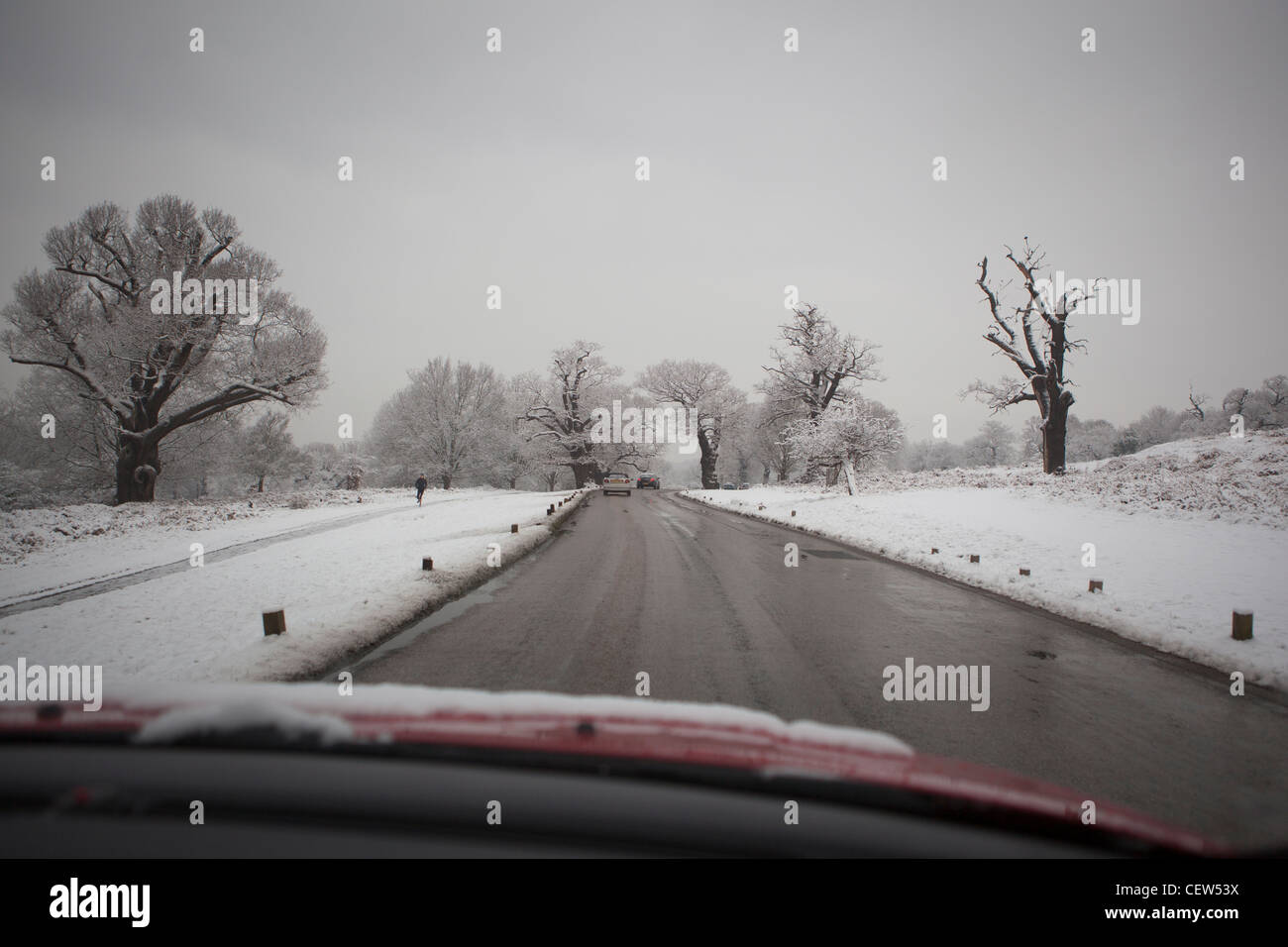 Driving in snowy conditions,Richmond Park,Richmond upon Thames,England Stock Photo