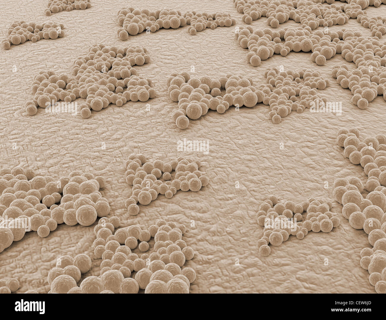 Human skin cells microscope hires stock photography and images Alamy