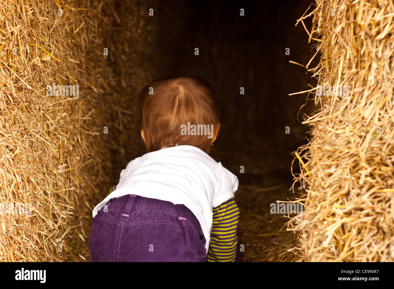 Small child crawling into hay fort Stock Photo