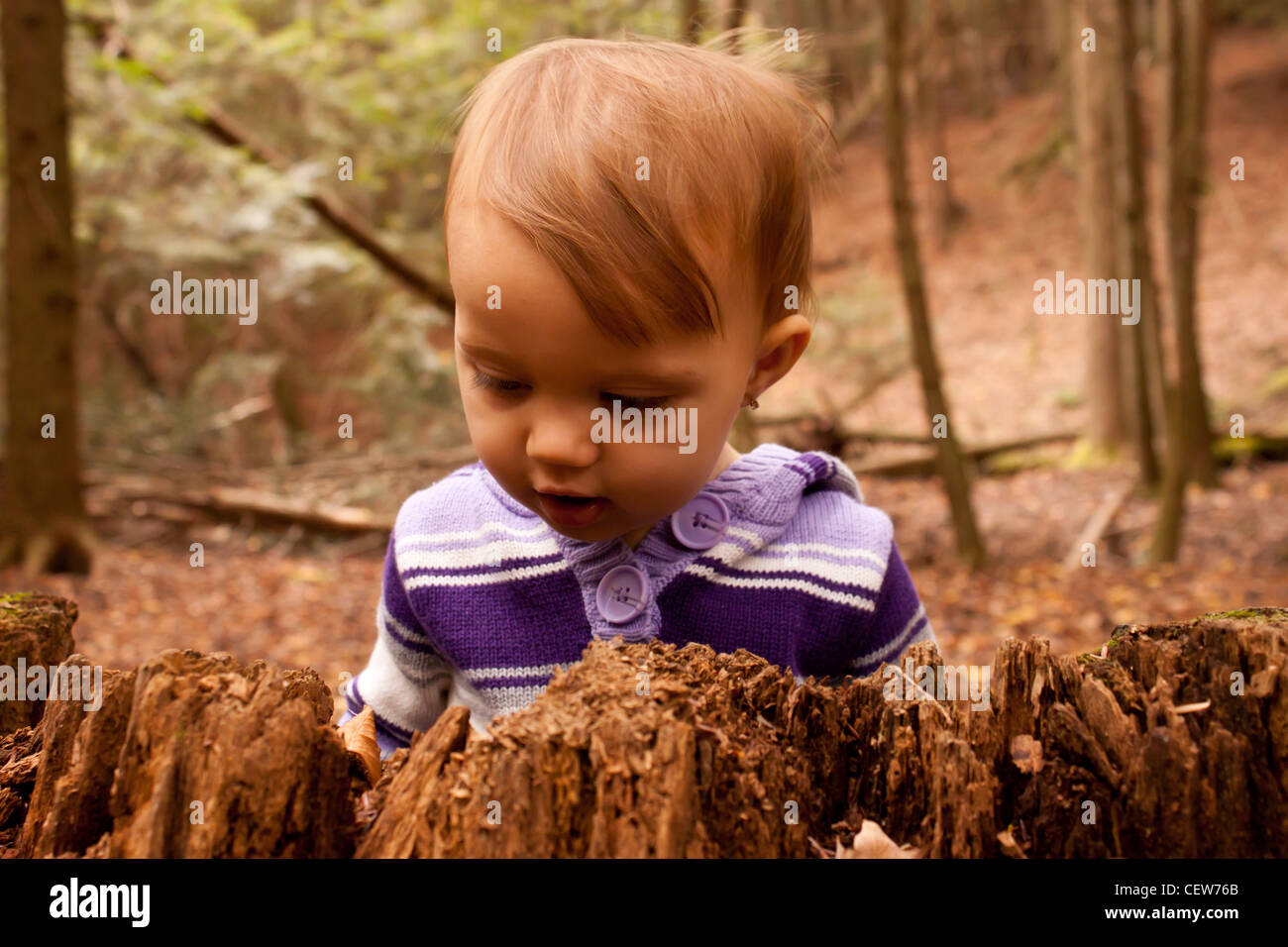 Curious child looking at stump in forest Stock Photo