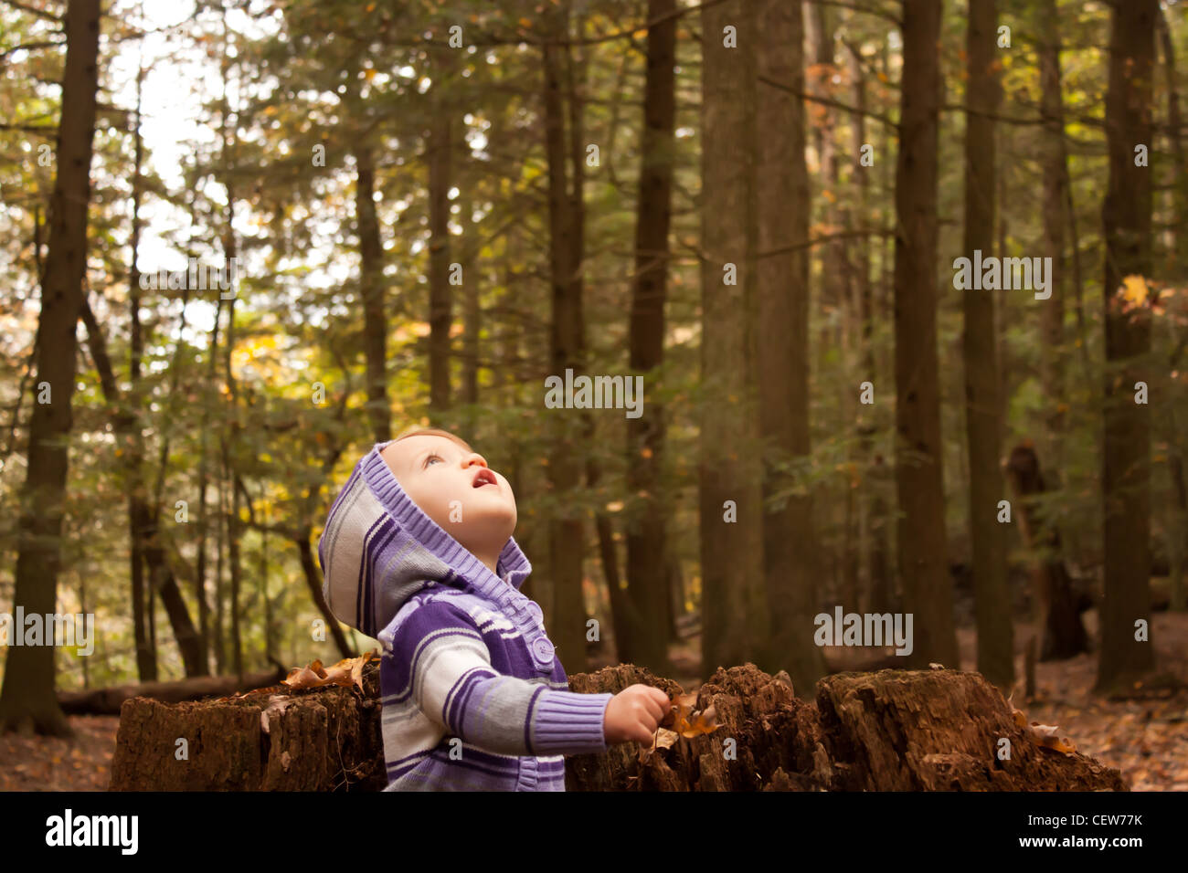 Toddler looking up sky hires stock