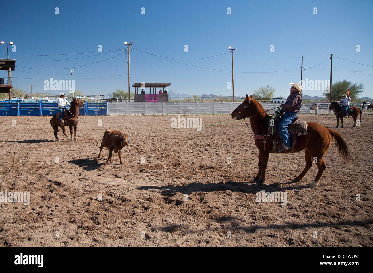 Sells, Arizona - The team roping competition in the Masters division ...