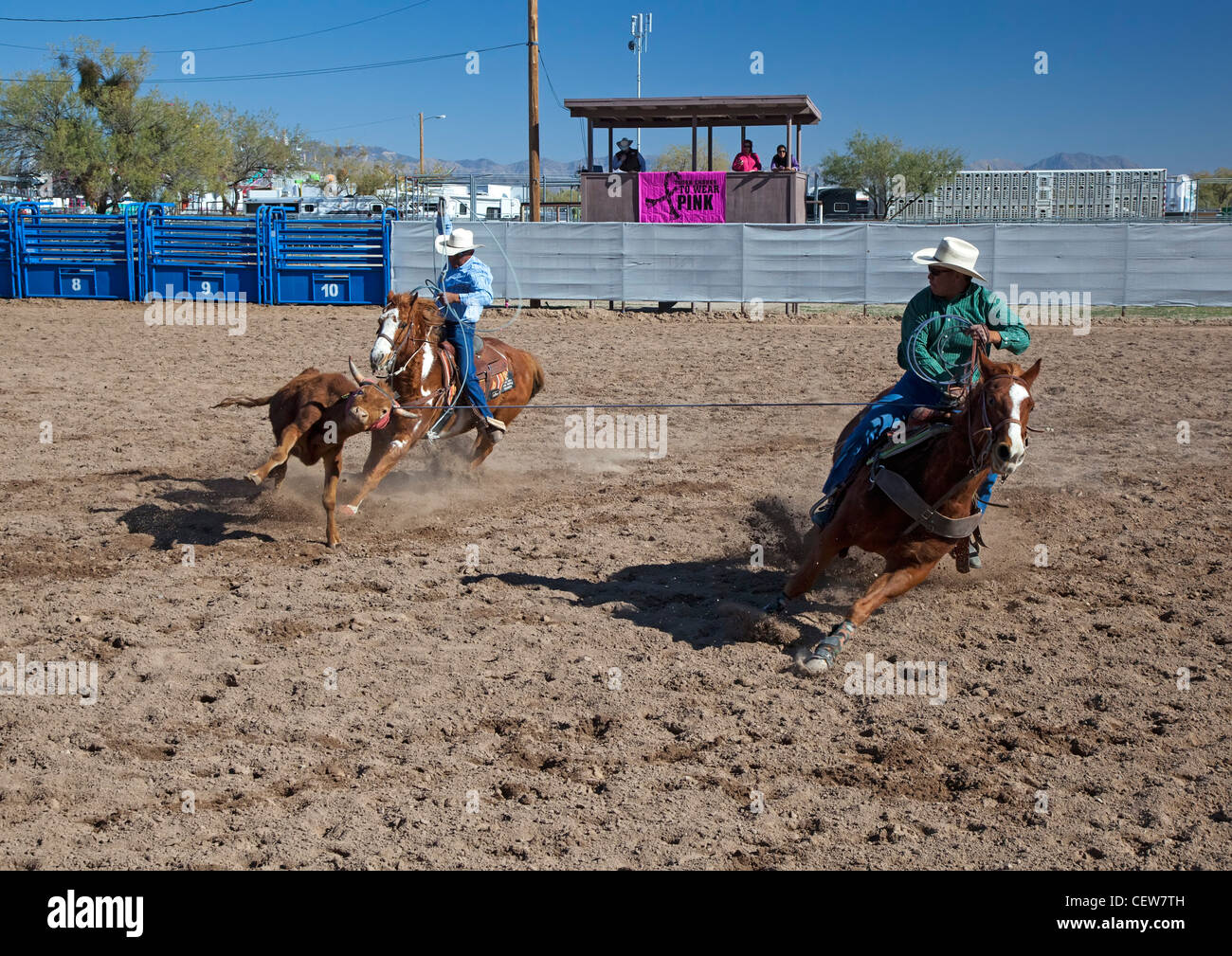 Team roping competition hi-res stock photography and images - Alamy