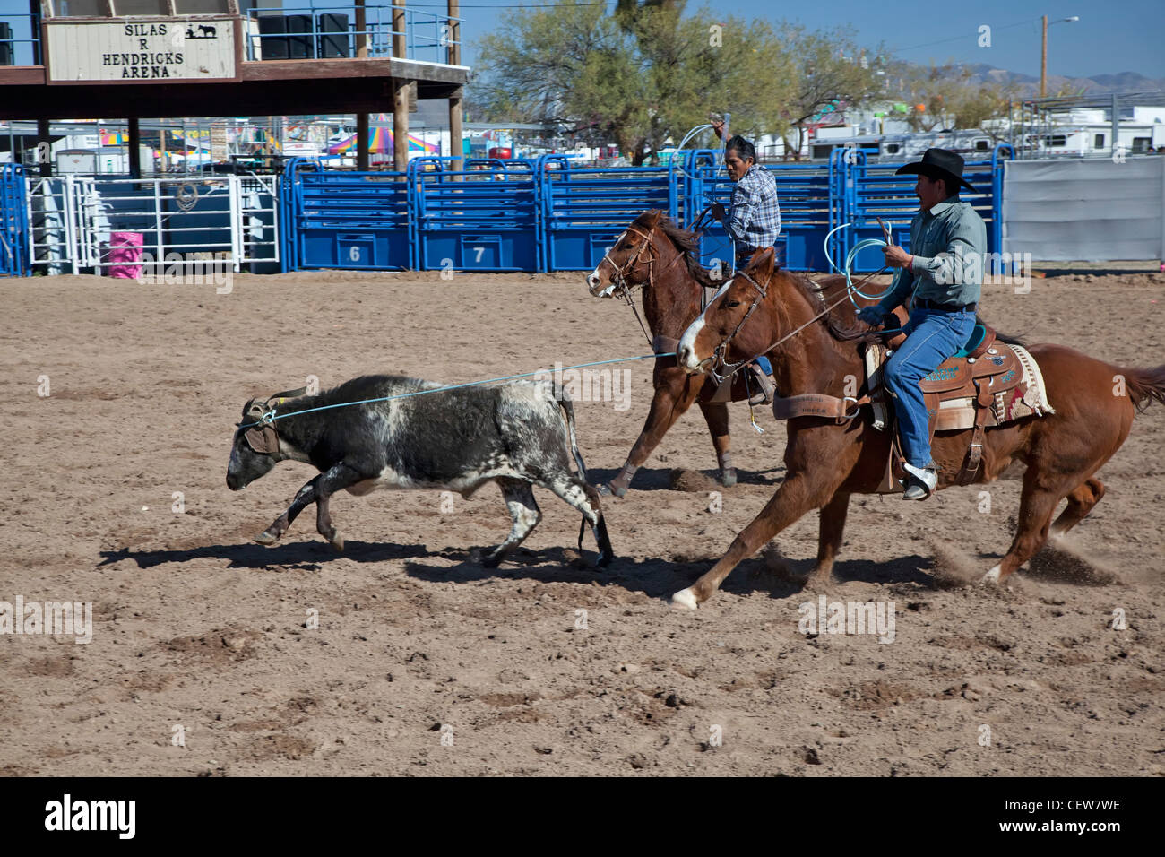 Sells, Arizona - The team roping competition in the Masters division (Age 40+) of the Tohono O'odham Nation All Indian Rodeo. Stock Photo