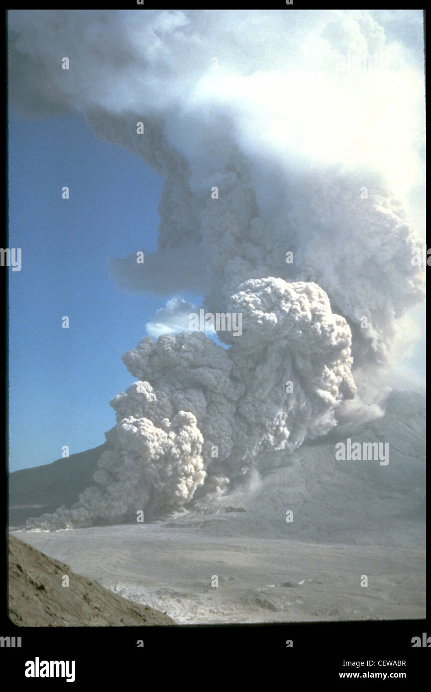 During the May 18, 1980 eruption, at least 17 separate pyroclastic flows descended the flanks of Mount St. Helens. Pyroclastic flows typically move at speeds of over 60 miles per hour (100 kilometers/hour) and reach temperatures of over 800 Degrees Fahrenheit (400 degrees Celsius). Photographed here, a pyroclastic flow from the August 7, 1980 eruption stretches from Mount St. Helens' crater to the valley floor below. Stock Photo