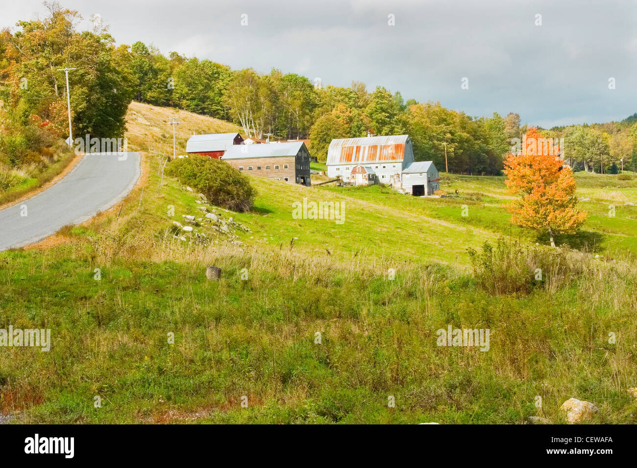 Maine farm on the side of a hill in fall Stock Photo - Alamy