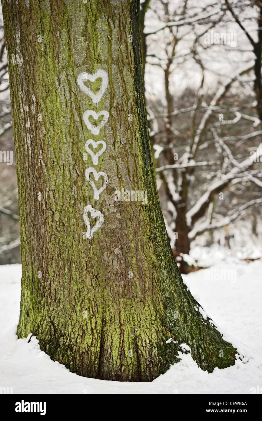 Five hearts painted on the bark of a tree Stock Photo