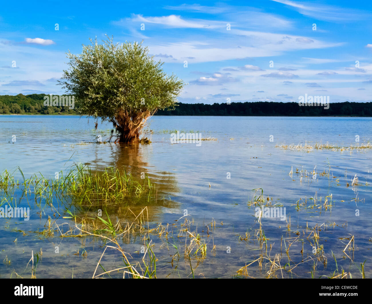 Lac D'Orient in Geraudot in the Orient Forest Regional National Park a protected area in the Champagne-Ardennes region of France Stock Photo