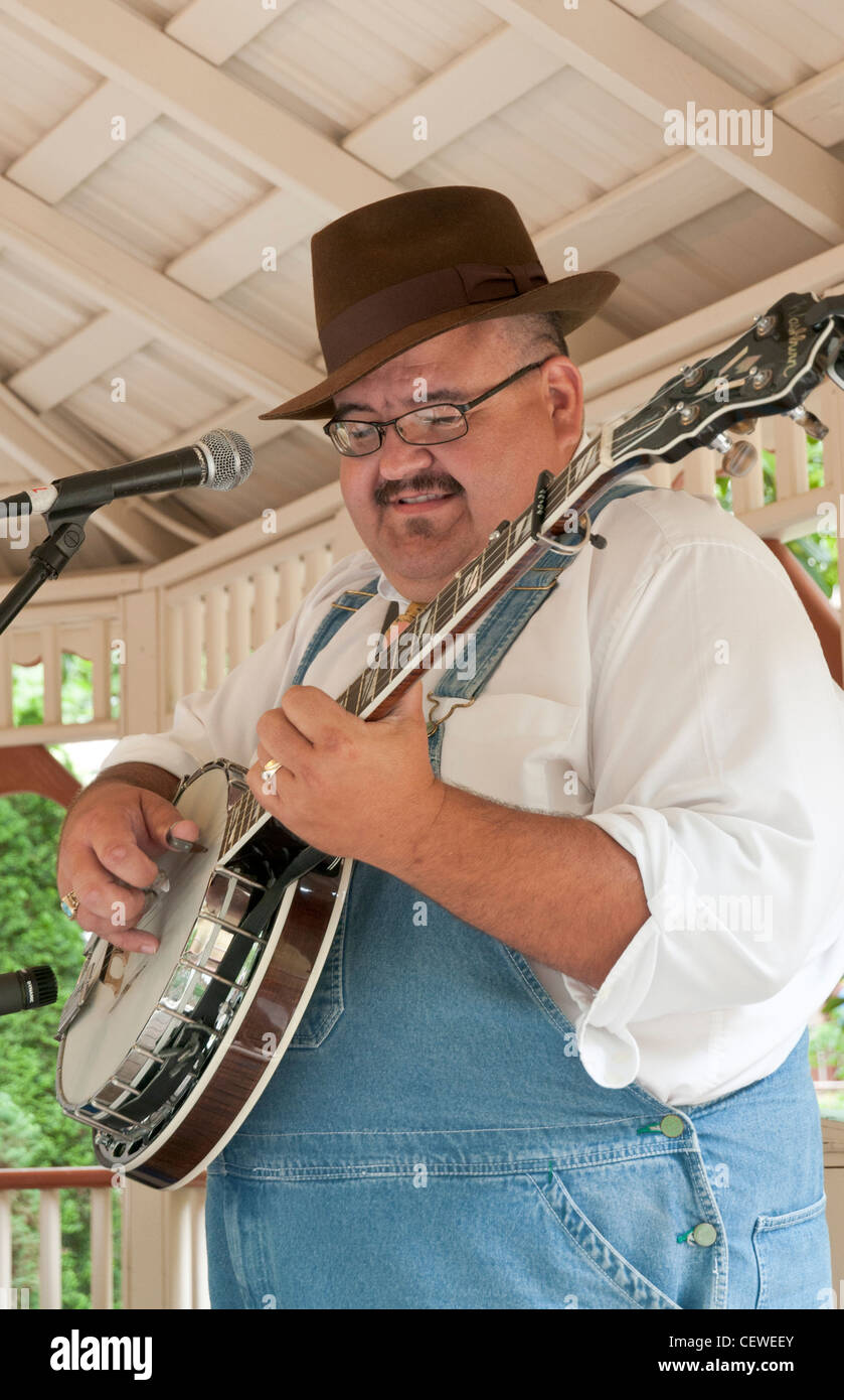 Tennessee, Pigeon Dollywood, Smoky Mountain String Band plays