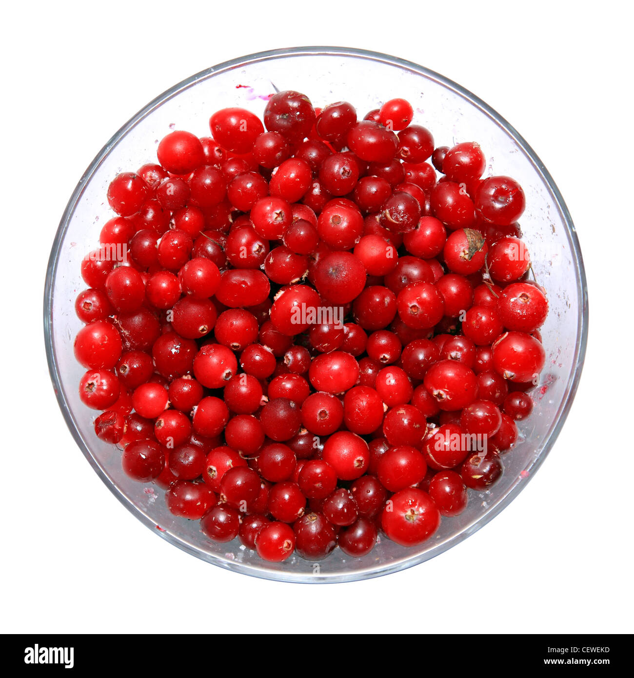 cranberry in plate on white background Stock Photo