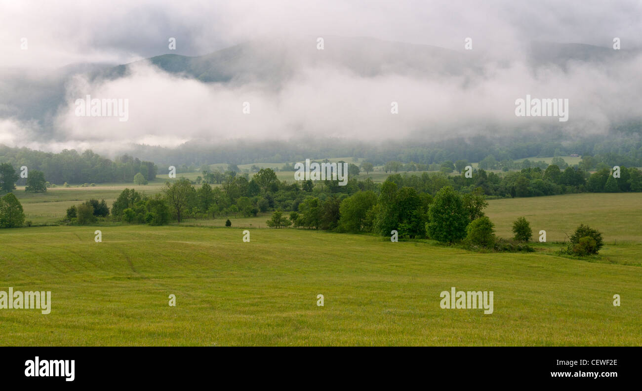 Tennessee, Great Smoky Mountains National Park, Cades Cove Loop Road view. Stock Photo