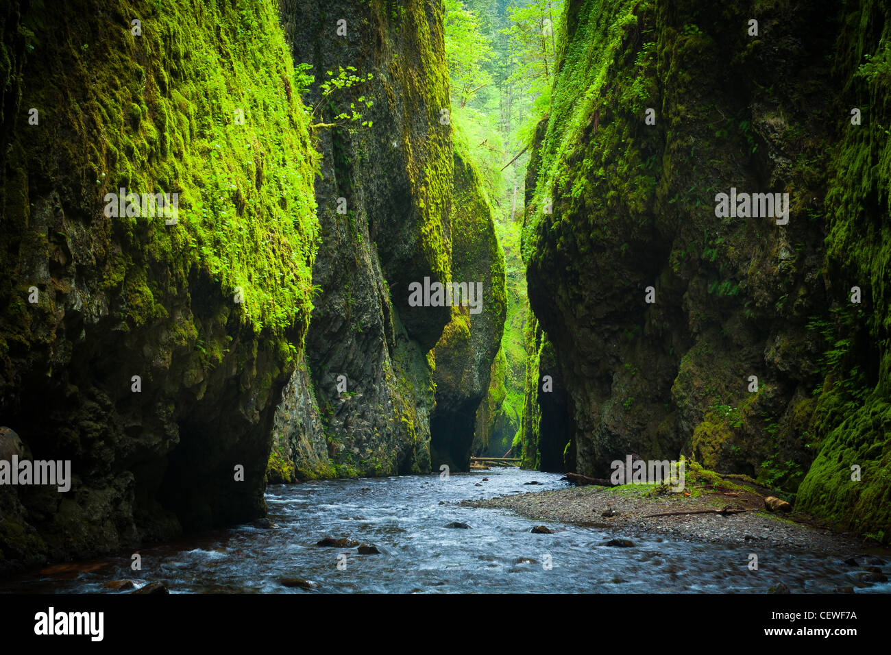 The Oneonta in the Columbia River Oregon Stock Photo Alamy