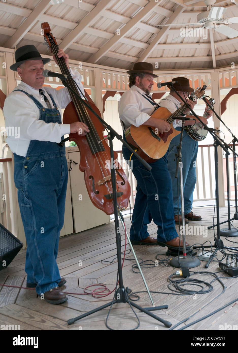 Tennessee, Pigeon Dollywood, Smoky Mountain String Band plays