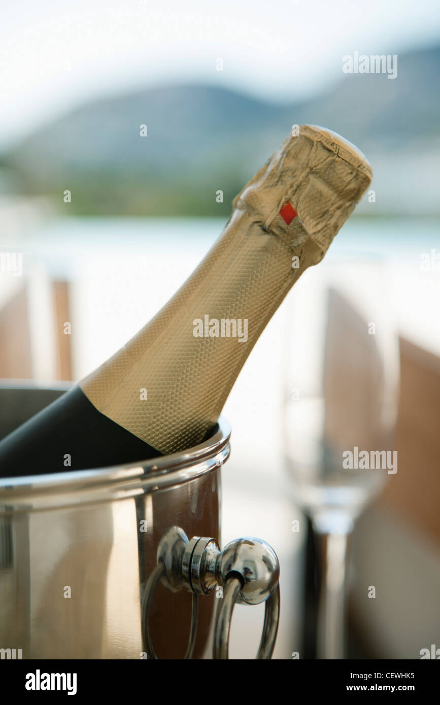 Champagne in ice bucket Stock Photo Alamy