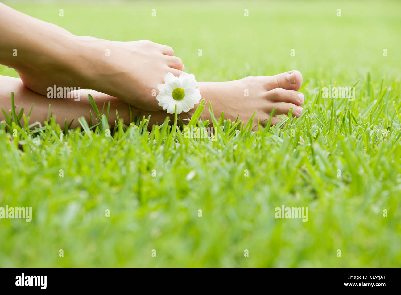Holding flower between toes Stock Photo