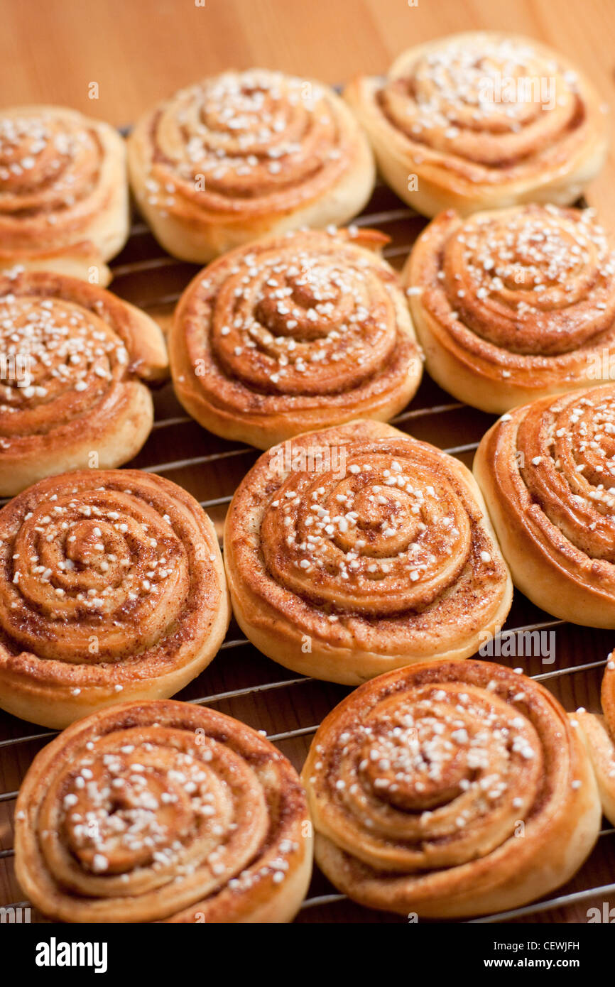 Newly baked cinnamon buns Stock Photo