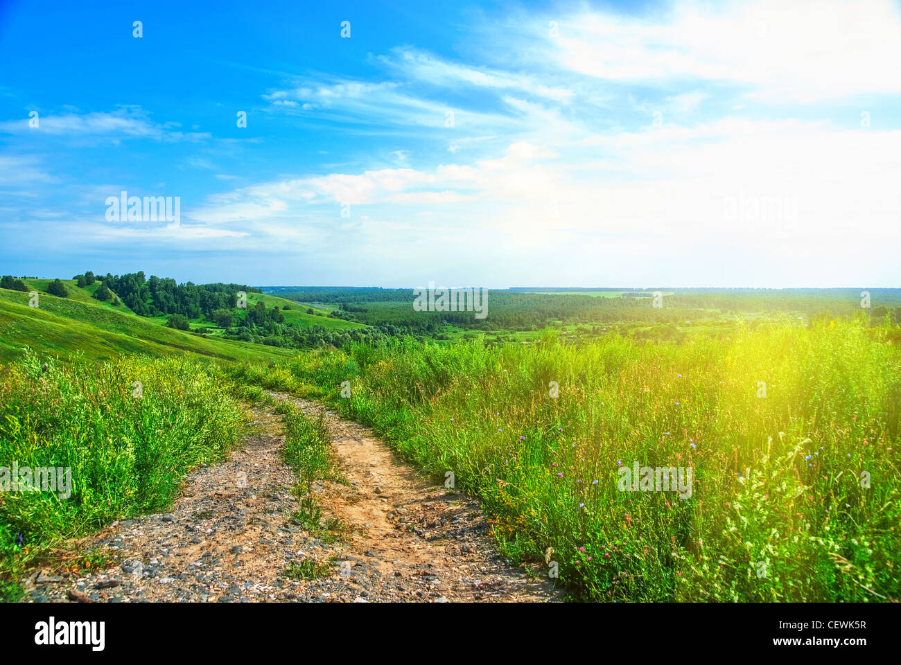 Summer landscape with green grass, road and clouds Stock Photo - Alamy