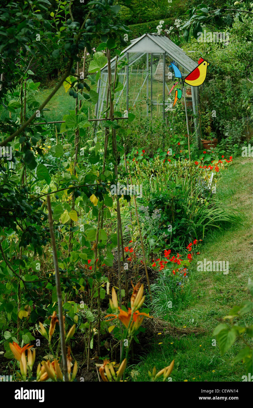 View of an English vegetable garden with a greenhouse Stock Photo - Alamy