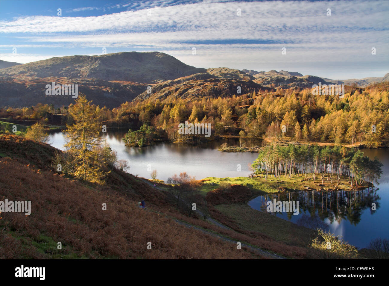 Autumn over Tarn Hows. Stock Photo