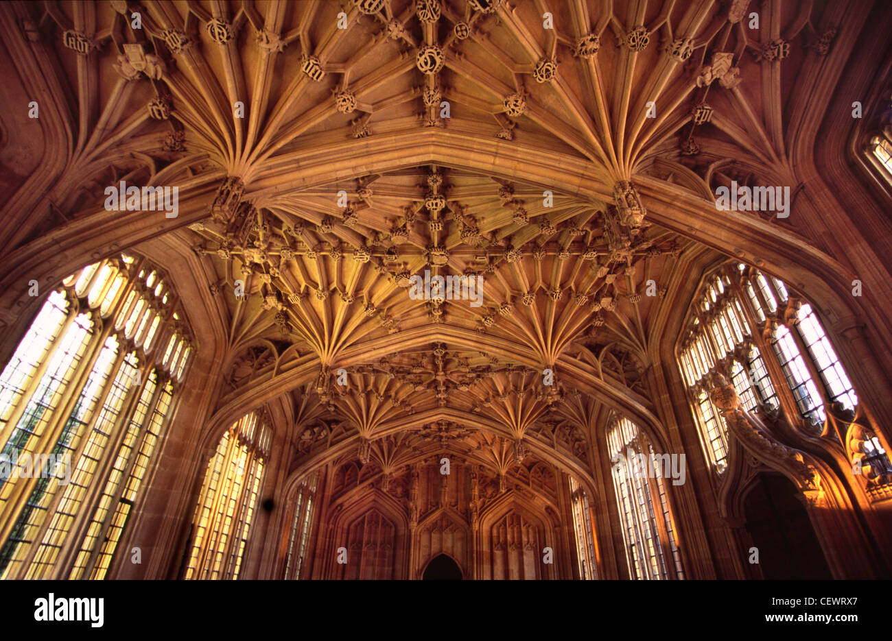 The celebrated ceiling of the Bodleian Library Divinity School in ...