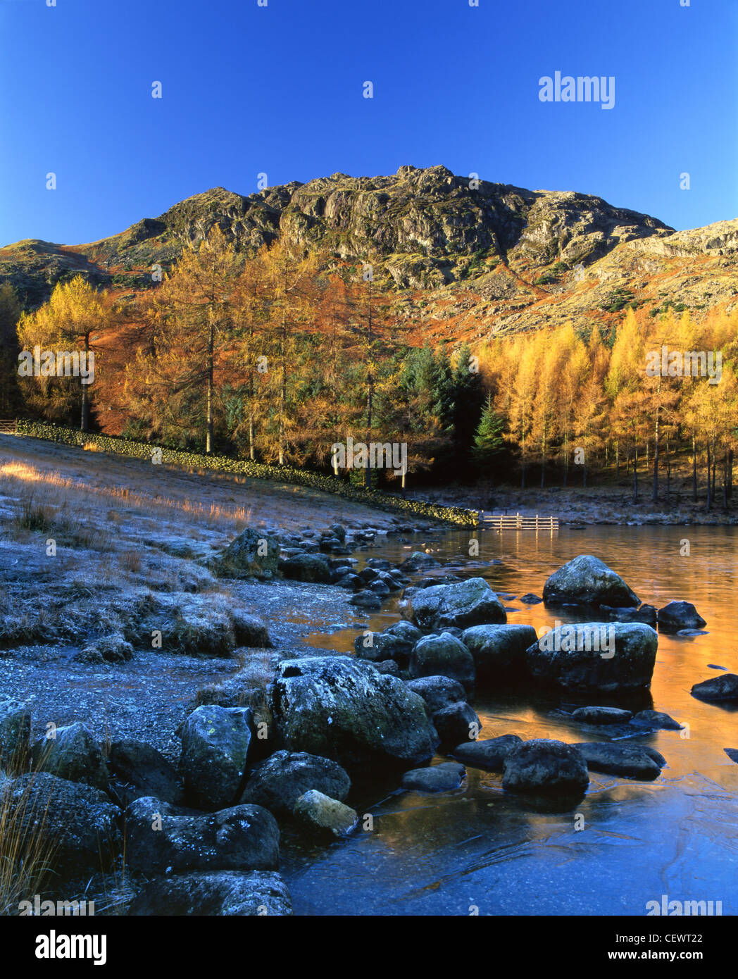 The frost covered boulders at the shore of Blea Tarn. Stock Photo