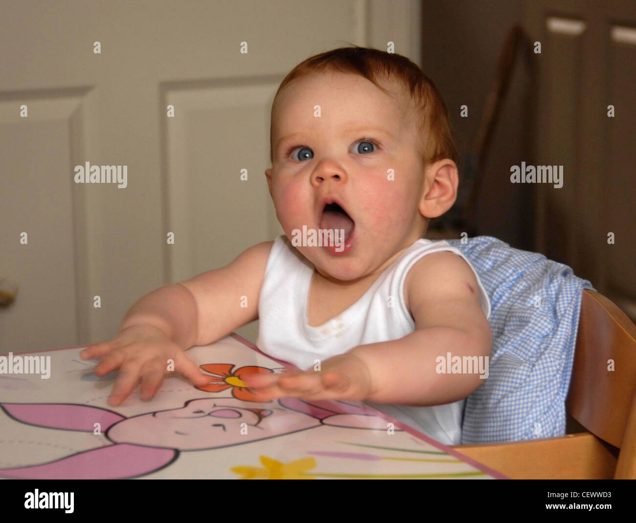 Female child sitting wearing white vest sitting in wooden highchair at table arms in the air and mouth open Stock Photo