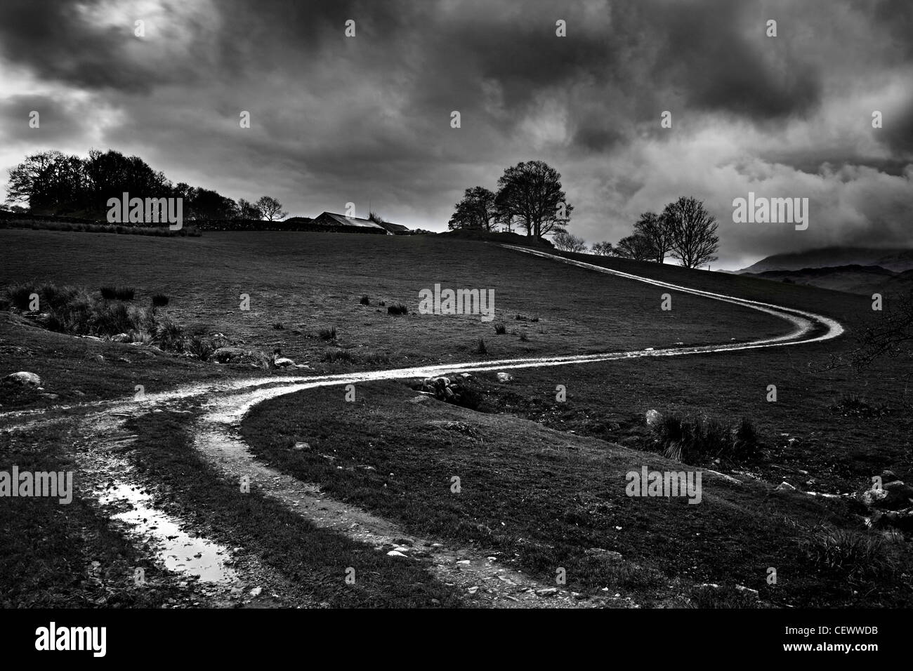 Snaking farm track near Coniston in the English Lake District. Donald