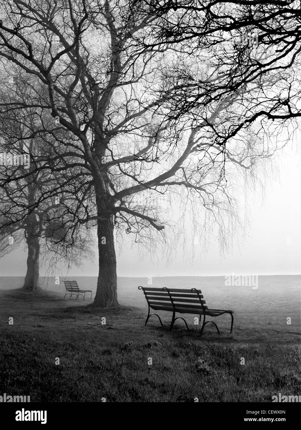 Park benches and birch trees in the morning mist at Newnham-on-Severn. In Roman times, three important roads (including the majo Stock Photo