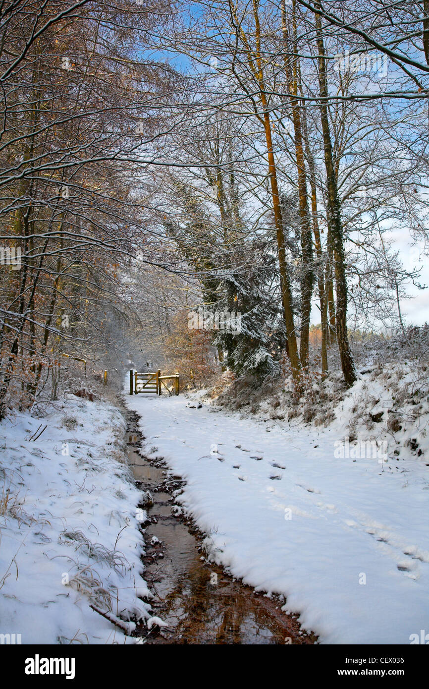 Footprints on a snow covered path by a stream, leading to a gate in the Royal Forest of Dean. Stock Photo