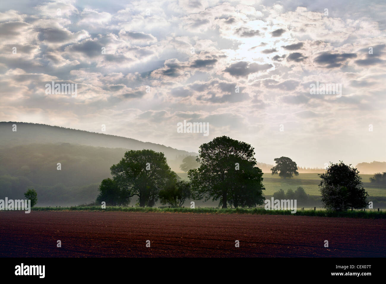 Mist over fields at Bigswier on the Gloucestershire, Monmouthshire border. Stock Photo