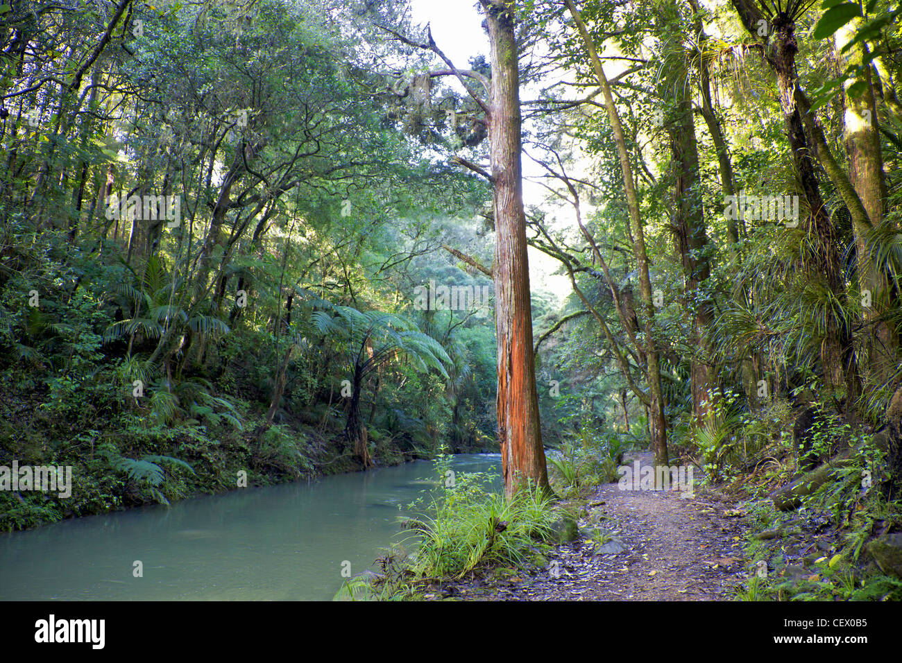 The Hatea River, just below the Whangarei Falls, North Island, New Zealand. Stock Photo