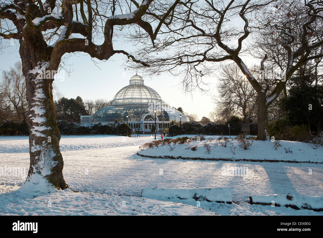 The glass palm house at Sefton Park, Liverpool , North West England, on a snowy winter day Stock Photo