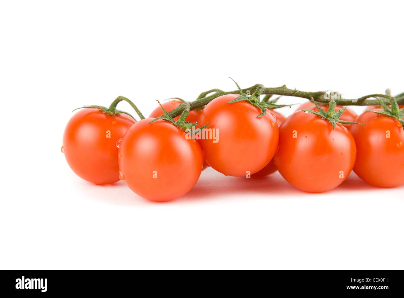 cherry ripe tomatoes isolated on a white background Stock Photo - Alamy