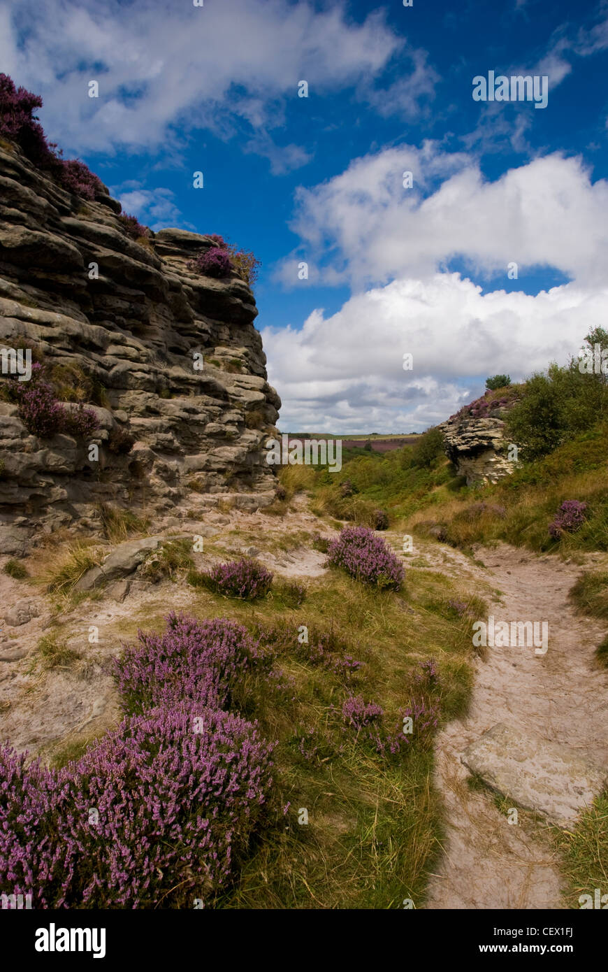 The Bridestones in Dalby Forest within the North Yorks Moors National Park. Stock Photo