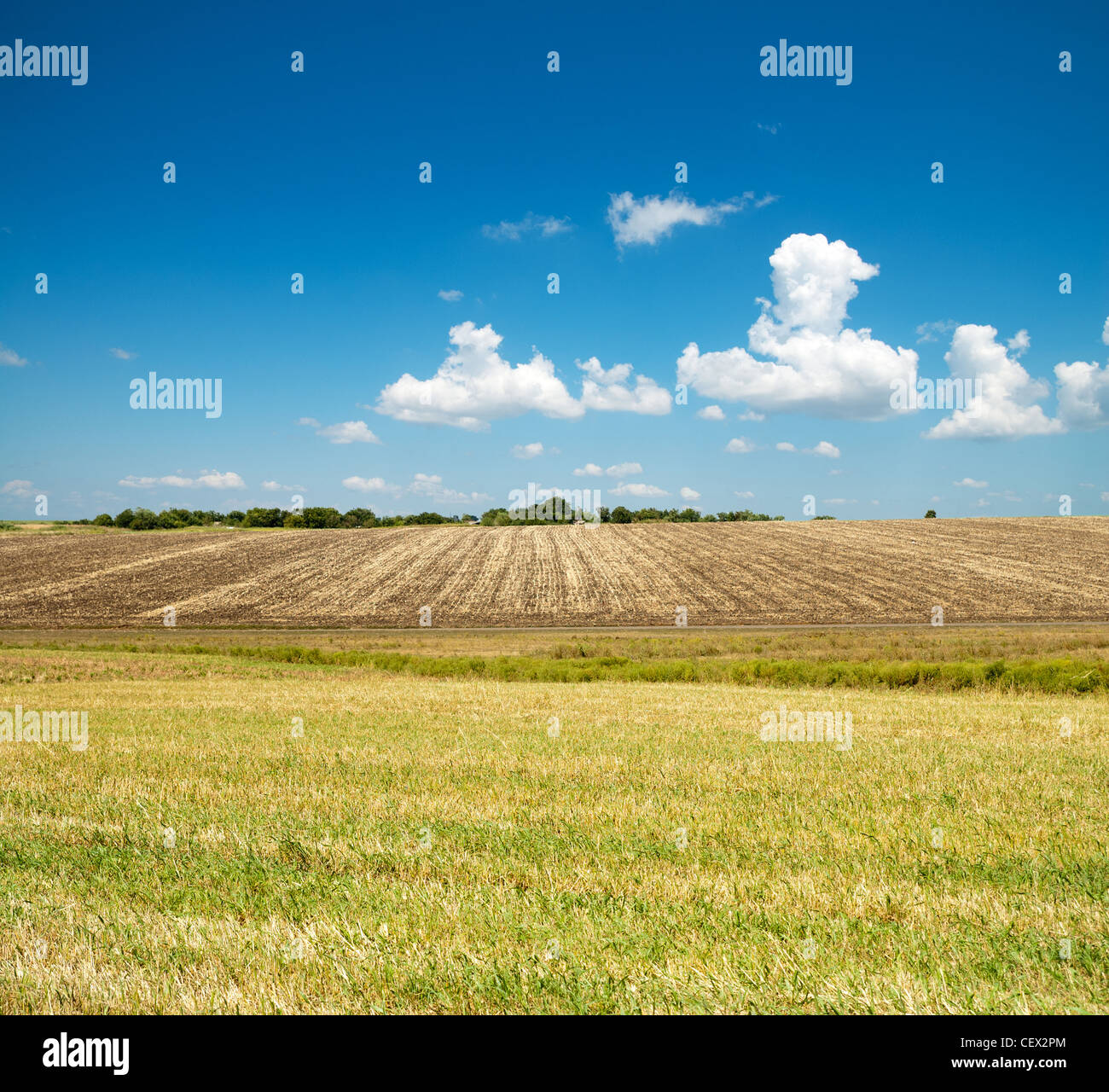 ploughed and green fields under blue cloudy sky Stock Photo - Alamy