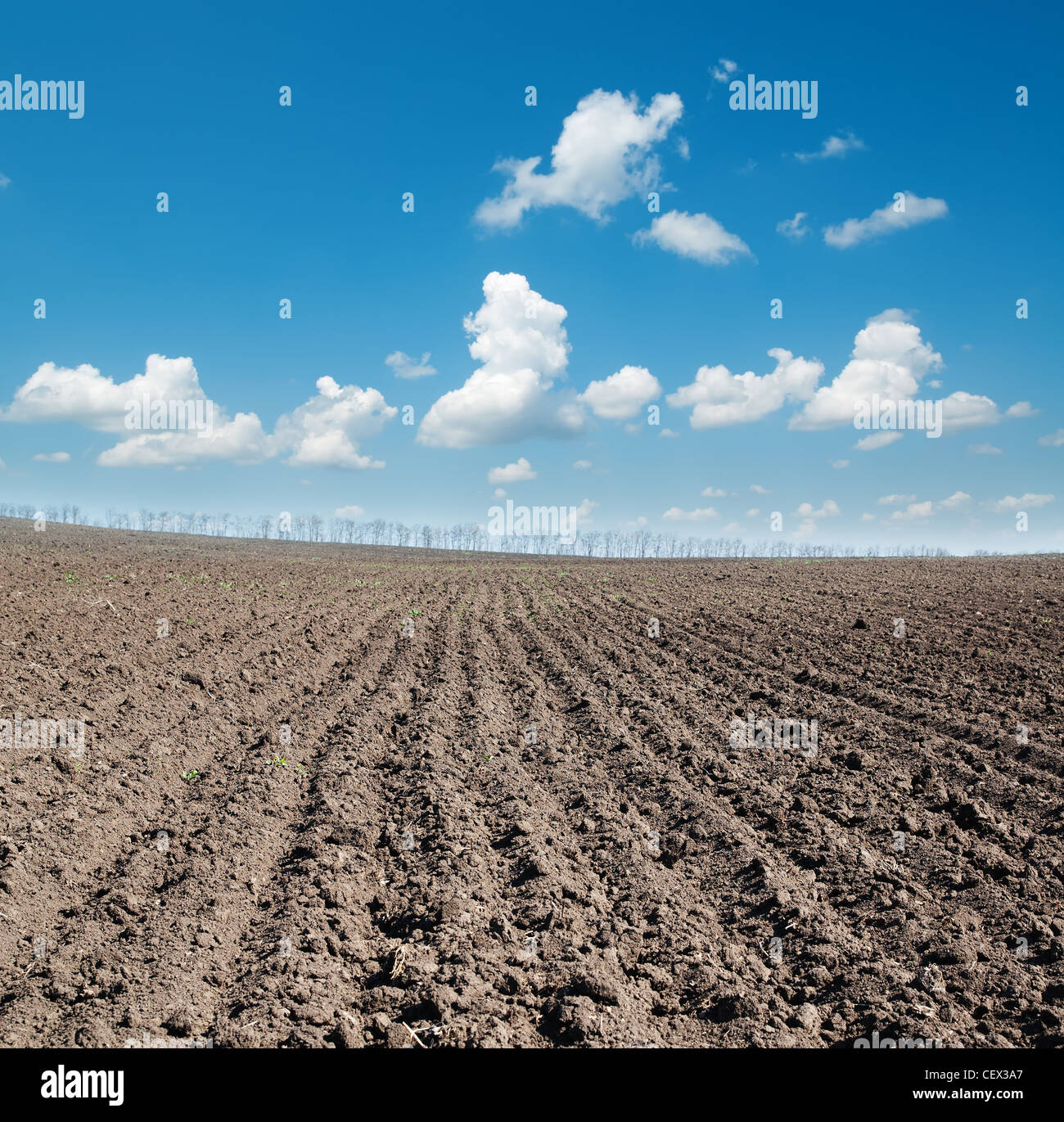 black ploughed field under blue sky Stock Photo - Alamy
