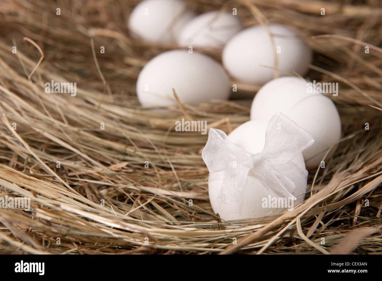 Several white eggs on a straw background Stock Photo - Alamy