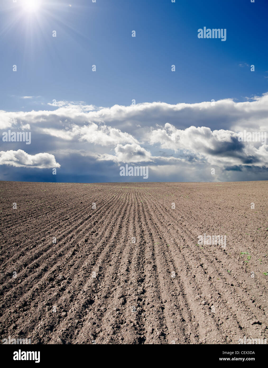 black ploughed field under blue cloudy sky with sun Stock Photo - Alamy