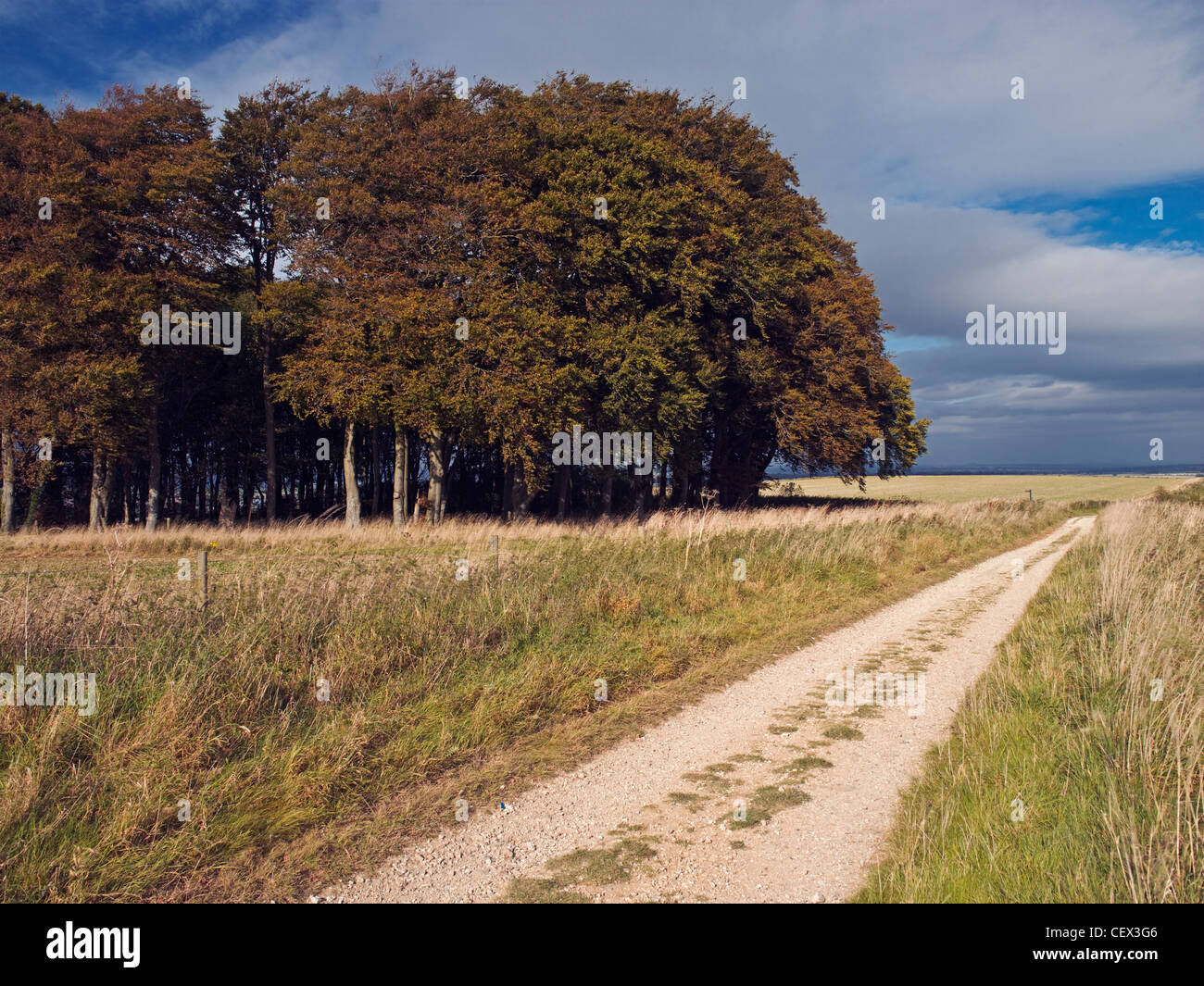 The Ridgeway National Trail covers 87 miles from Avebury in Wiltshire to Ininghoe Beacon in Buckinghamshire. Stock Photo