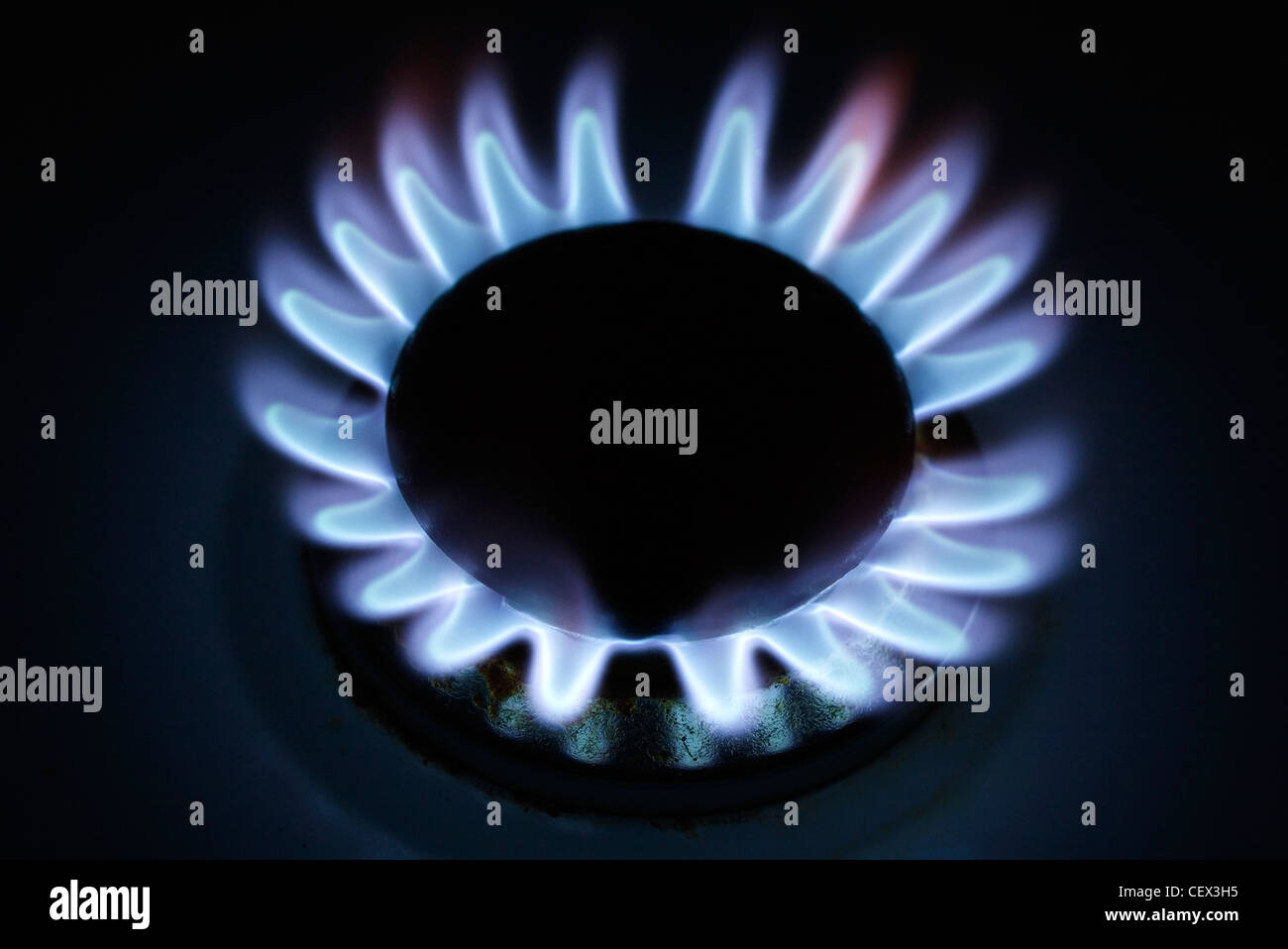 Detail of the gas flame on a cooker Stock Photo Alamy