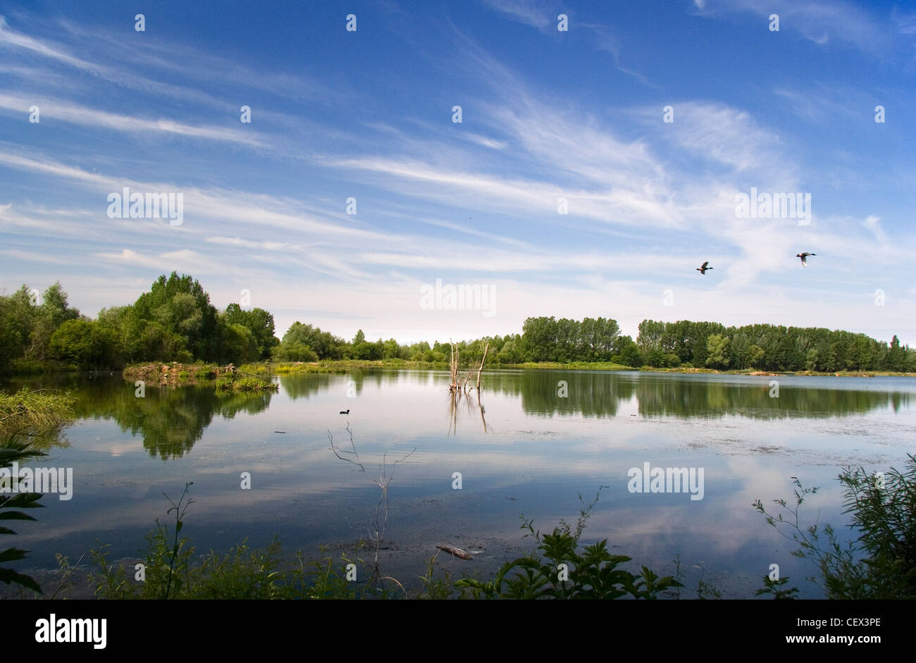 Radley Lakes High Resolution Stock Photography and Images Alamy