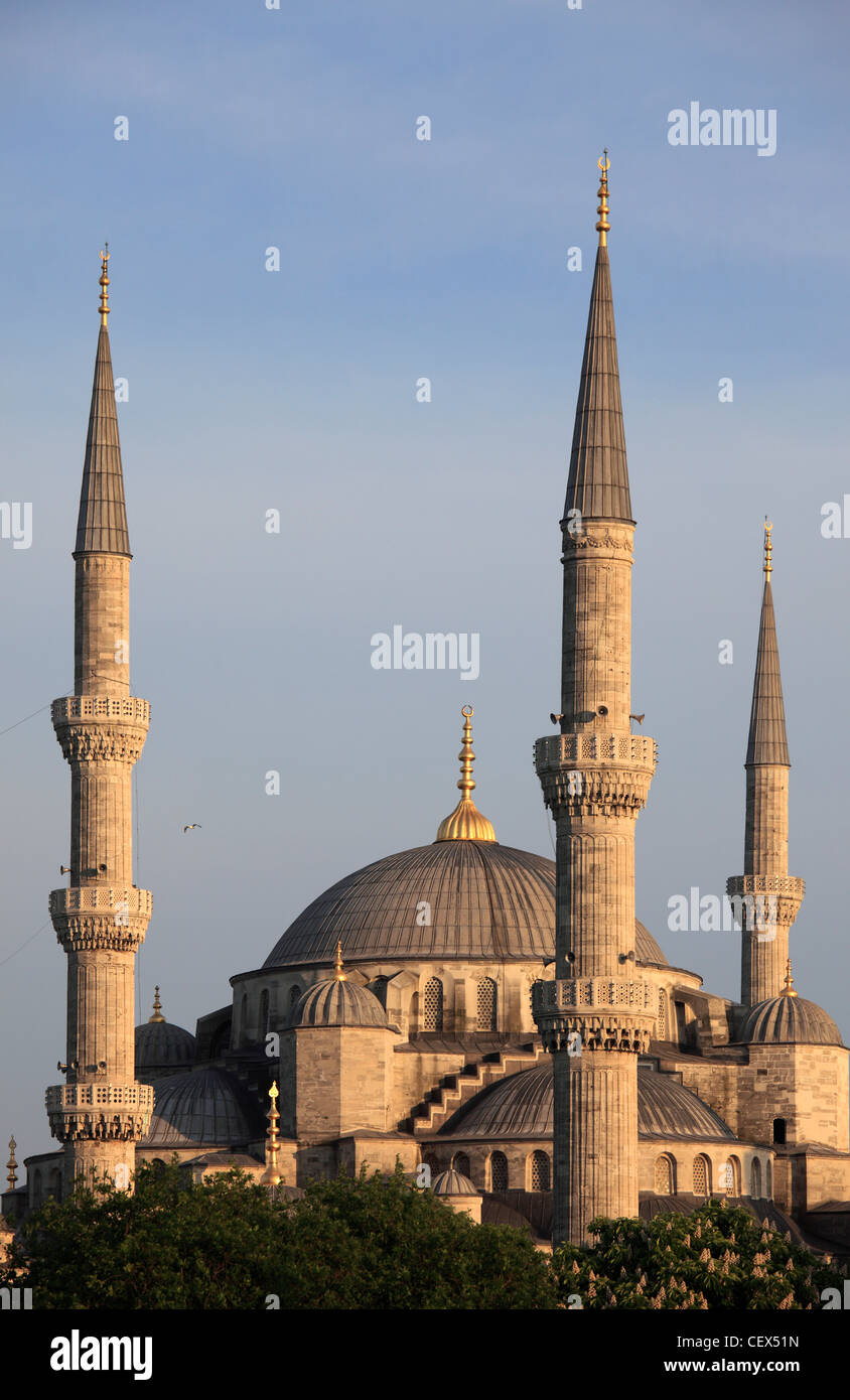 Turkey; Istanbul; Blue Mosque, Sultan Ahmet Camii Stock Photo - Alamy