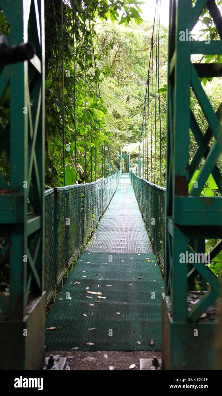 One of hanging bridges suspension bridge over the cloud forest canopy at Monteverde Cloud Forest, Costa Rica, Central America Stock Photo