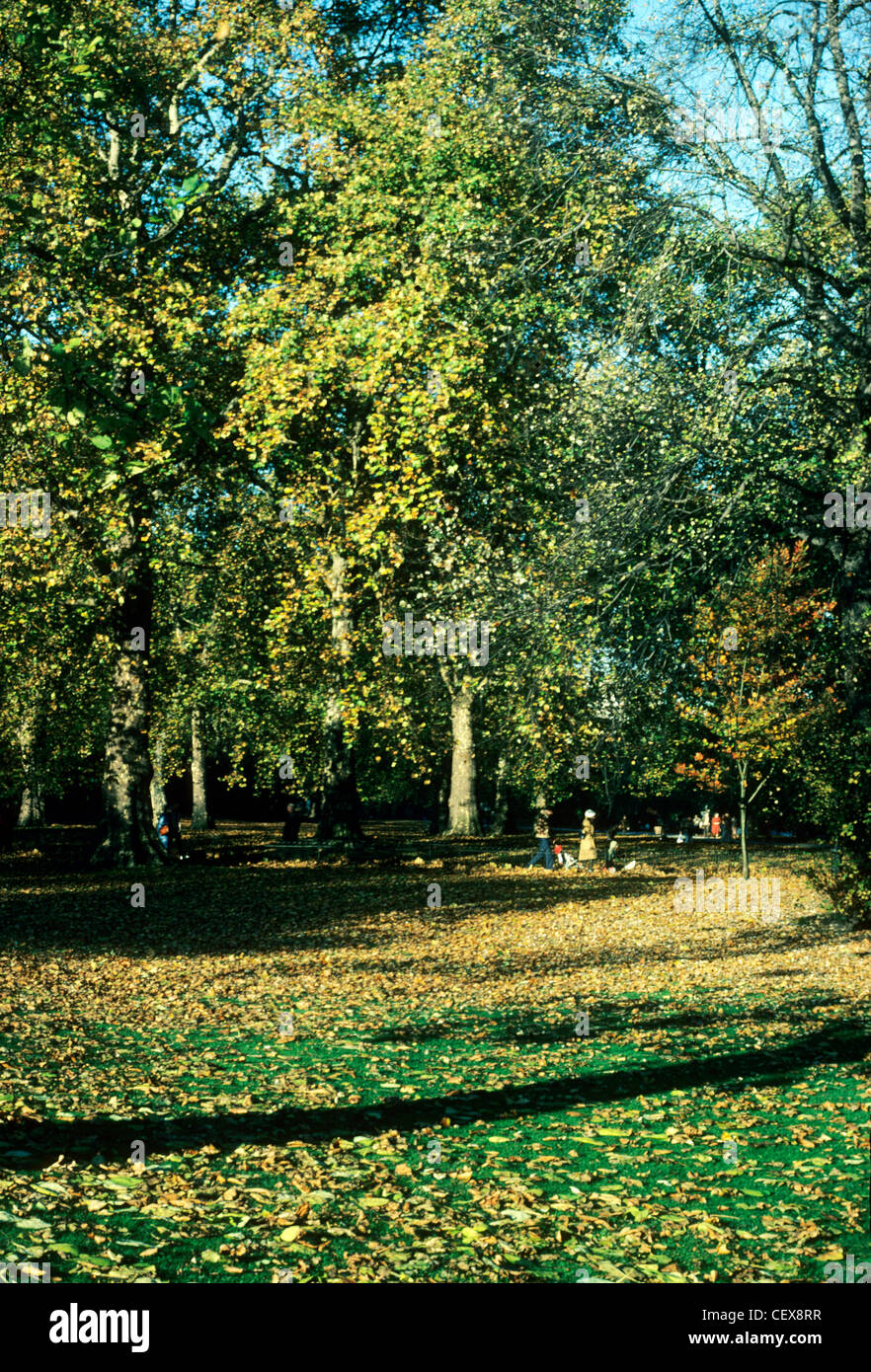 St. James Park, autumn time, London England UK parks autumnal in fall Stock Photo