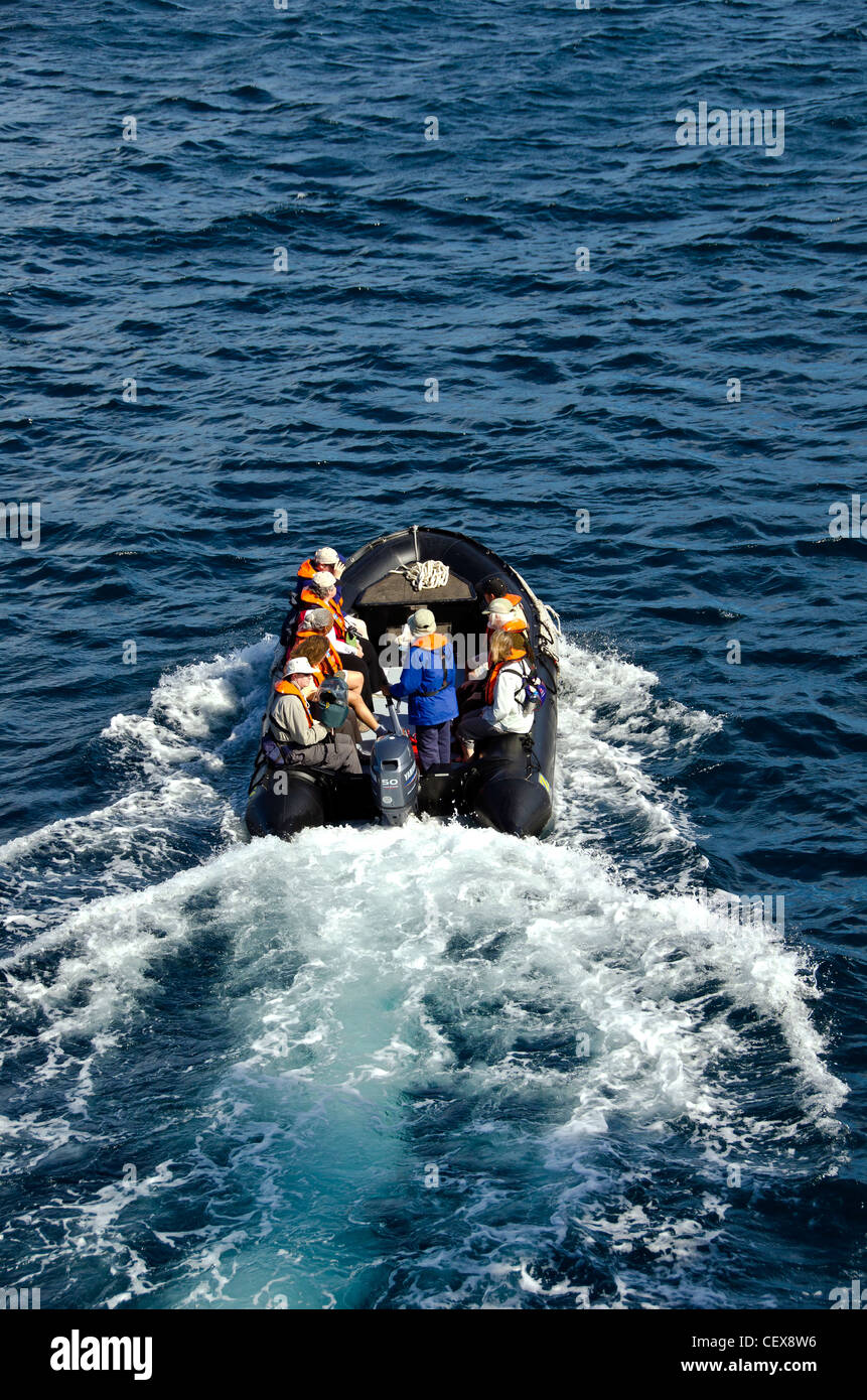 Zodiac inflatable boat leaving tour ship in the Galapagos Islands, Ecuador Stock Photo