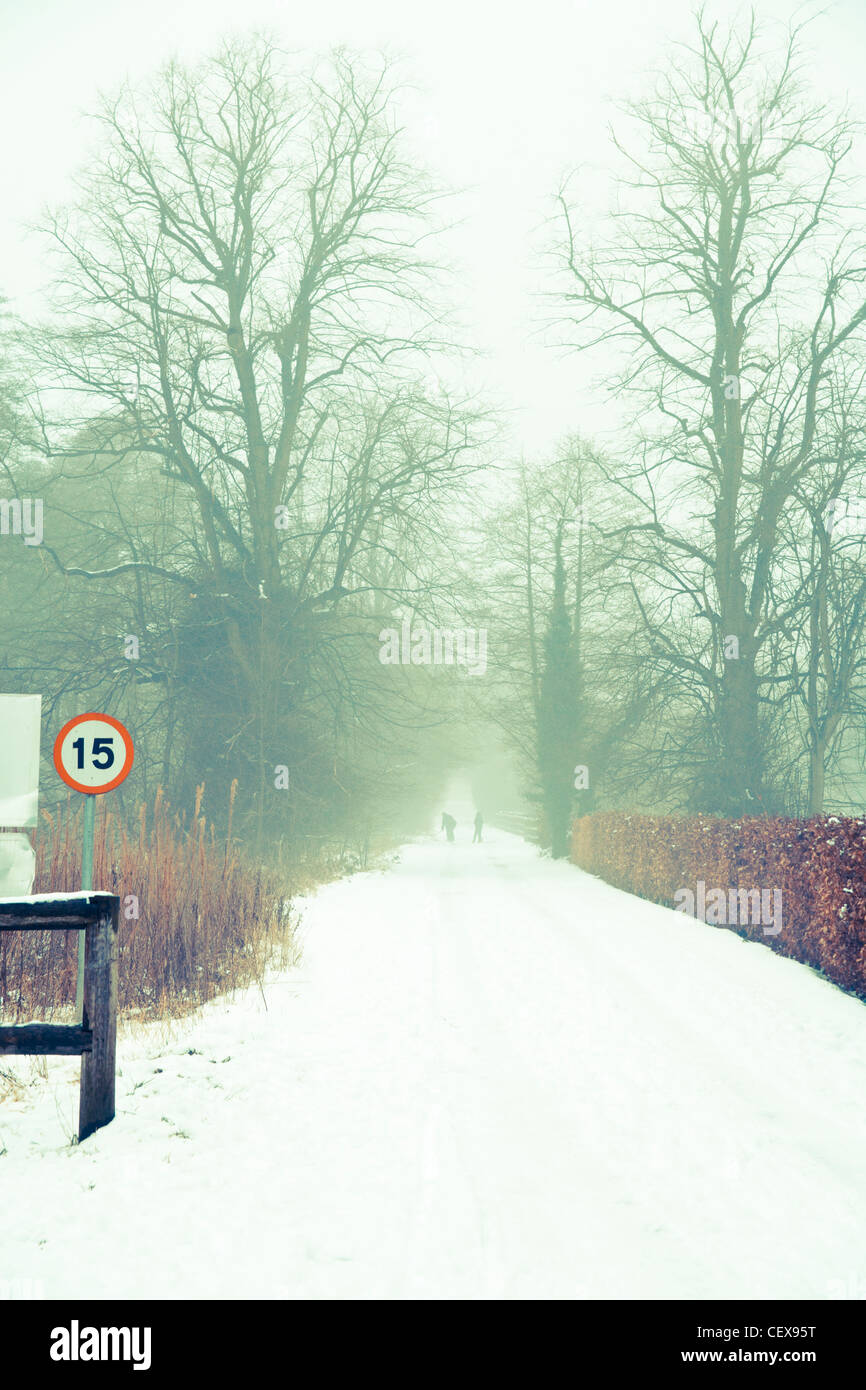 Snow covered lane/road in foggy winter weather Stock Photo