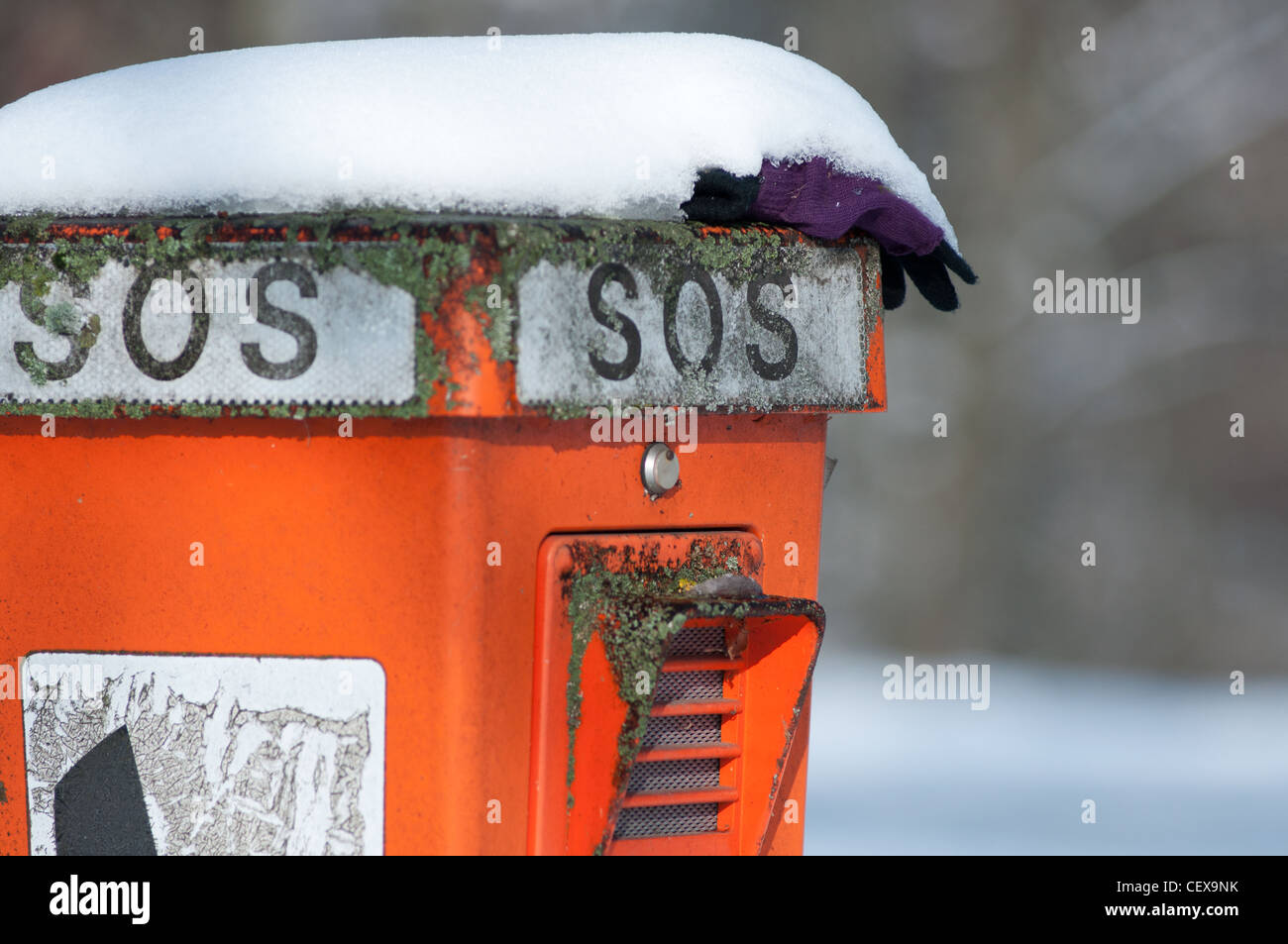 Snow covered SOS telephone; emergency telephone; call distress; Munich, Germany. Stock Photo