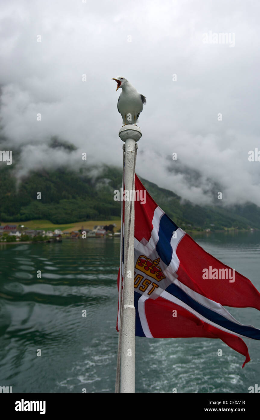 A gull sits on top of the Norwegian Post flag on board a Ferry Boat leaving Fjaerlandsfjord Sogn Sognefjord Norway Stock Photo